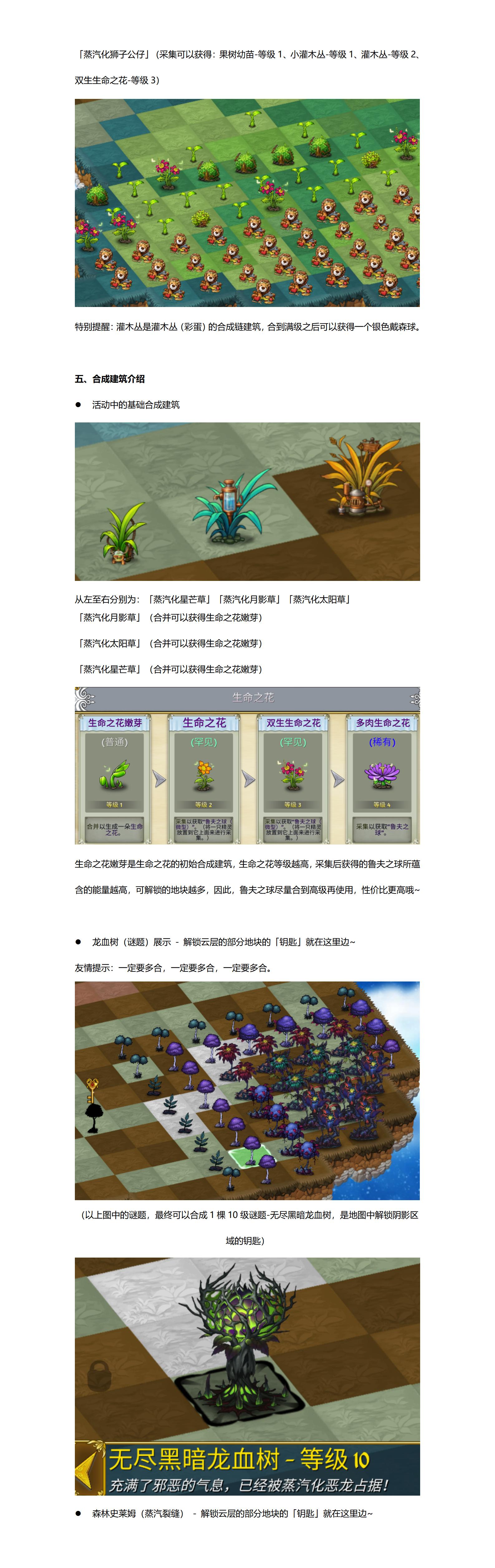 蒸汽裂缝活动介绍(新)_09.jpg